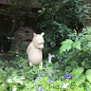 Meet your Posher, Samara